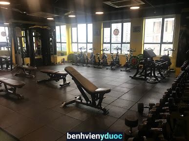 Air Fitness & Yoga