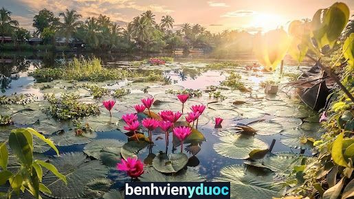 Bác sĩ THẠCH XUÂN TỰU
