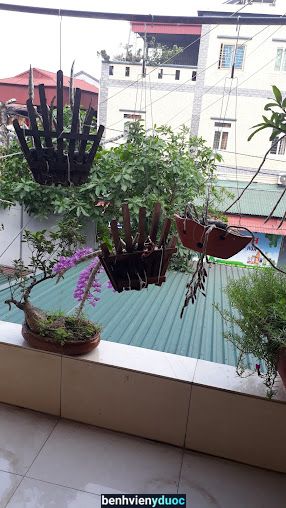 Bác sĩ Thu - Chữa bệnh trĩ, đầu rò hậu môn, trực tràng