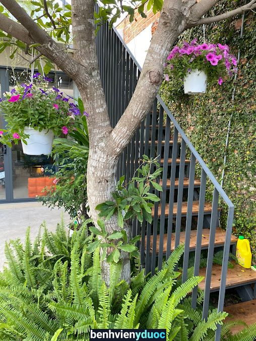 Bee Spa Nha Trang Khánh Hòa