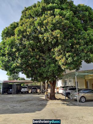 Bệnh viện 331 Pleiku Gia Lai