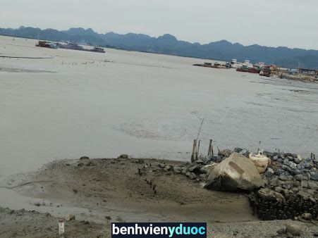 Bệnh Viện Đa Khoa Đôn Lương Cát Hải Hải Phòng