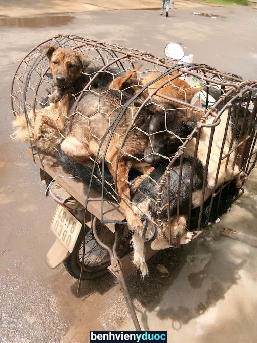 Bệnh viện Đa khoa huyện Buôn Đôn Buôn Đôn Đắk Lắk