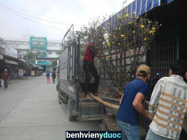 Bệnh Viện Đa Khoa Khu Vực Quảng Nam Điện Bàn Quảng Nam