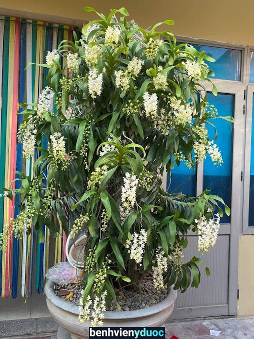 Bệnh viện Đa khoa tỉnh Bình Dương Thủ Dầu Một Bình Dương