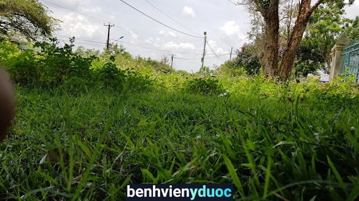 Bệnh viện lao và Bệnh phổi Gia Lai Pleiku Gia Lai