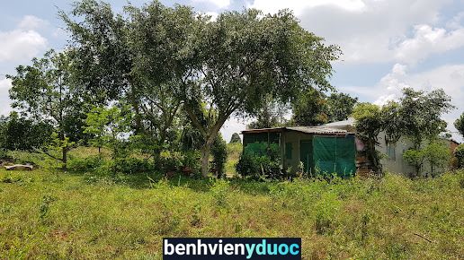 Bệnh viện lao và Bệnh phổi Gia Lai Pleiku Gia Lai