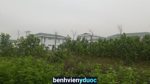 Bệnh Viện Nội Tiết Tỉnh Bắc Giang Yên Dũng Bắc Giang