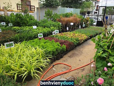 Bệnh viện Phụ sản nhi Quảng Nam Tam Kỳ Quảng Nam