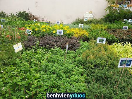 Bệnh viện Phụ sản nhi Quảng Nam Tam Kỳ Quảng Nam