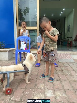 Bệnh viện thú y FUNPET Bắc Ninh Bắc Ninh Bắc Ninh