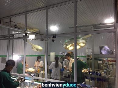 Bệnh viện thú y FUNPET Bắc Ninh Bắc Ninh Bắc Ninh