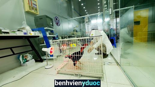 Bệnh viện thú y Funpet Thanh Xuân Hà Nội