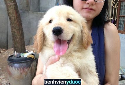Bệnh Viện Thú Y Kim Sơn Bình Thạnh Hồ Chí Minh