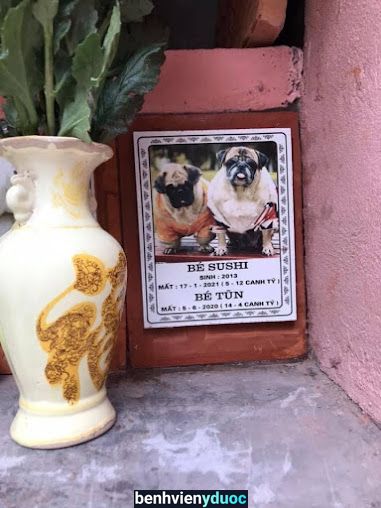 Bệnh Viện Thú Y Pethealth Bắc Giang Bắc Giang