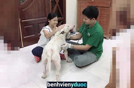 Bệnh viện thú y PetHealth Hà Đông Hà Đông Hà Nội