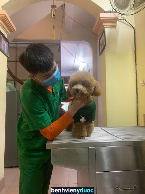 Bệnh viện thú y PetHealth Hà Đông Hà Đông Hà Nội
