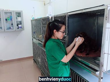 Bệnh viện thú y PetHealth Hà Đông Hà Đông Hà Nội