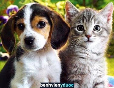 Bệnh viện Thú y Thanh Xuân Buôn Ma Thuột Đắk Lắk