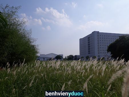 Bệnh Viện Y Học Cổ Truyền Hải Phòng Dương Kinh Hải Phòng