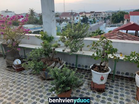 Bs Nguyễn Phúc Điền Phù Cát Bình Định