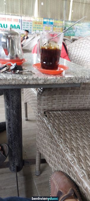 Bsck1 Da liễu. Trương Trung Nghi