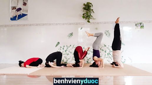 Câu Lạc Bộ Yoga Lan Chi