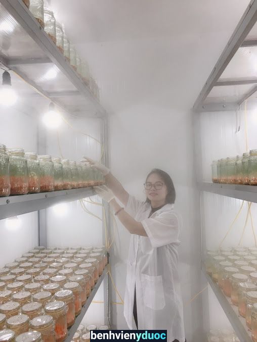 Cấy chỉ - Bấm Huyệt - Châm Cứu |đông y Ngọc Thủy Đường Hà Nội Hoàng Mai Hà Nội