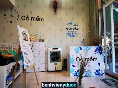 Cỏ Mềm Hair Spa CN1 Quy Nhơn Bình Định