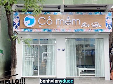 Cỏ Mềm Hair Spa CN2 Quy Nhơn Bình Định