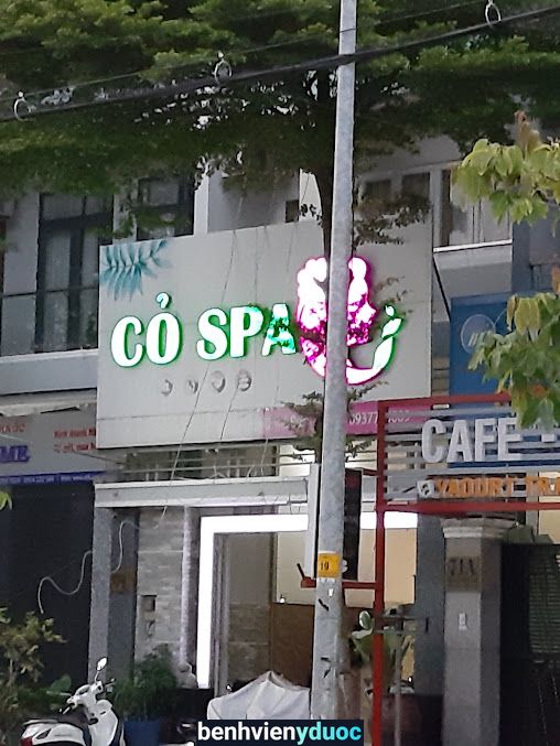Cỏ Spa Thủ Đức Hồ Chí Minh