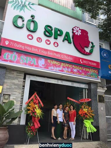 Cỏ Spa Thủ Đức Hồ Chí Minh