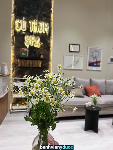 Cỏ Thơm Spa Thủ Đức Hồ Chí Minh