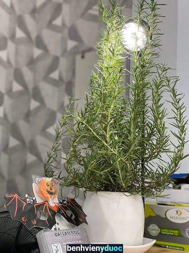 ĐẠI LÂM MỘC MASSAGE & TRỊ LIỆU KÉO GIÃN 10 Hồ Chí Minh