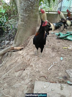 Đại Lý Thuốc Anh Huy Phong Điền Cần Thơ