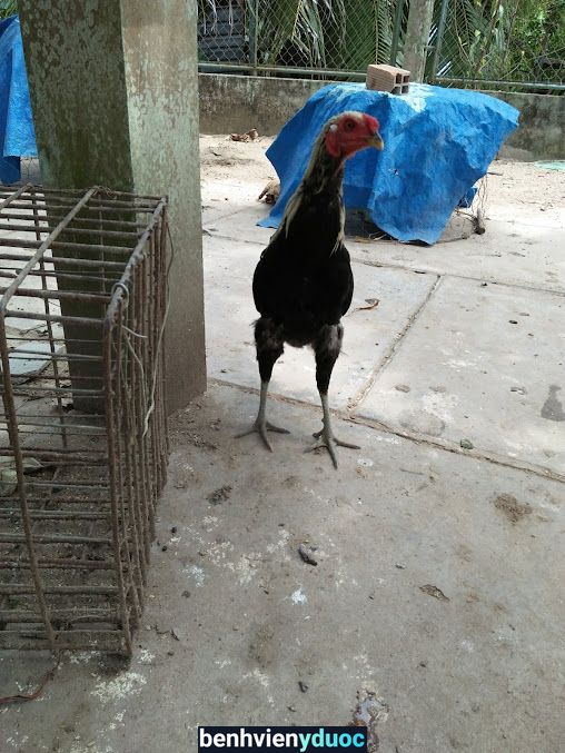 Đại Lý Thuốc Anh Huy Phong Điền Cần Thơ