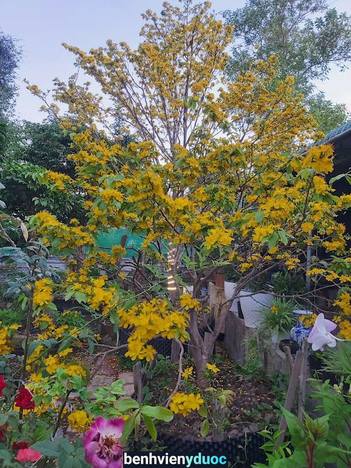 Đại Lý Thuốc Thú Y - Thủy Sản Chánh Hùng