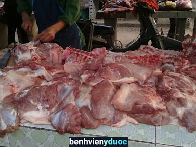 DỊCH VỤ CHĂN NUÔI - THÚ Y HOÀNG MẠNH TOÀN Triệu Sơn Thanh Hóa