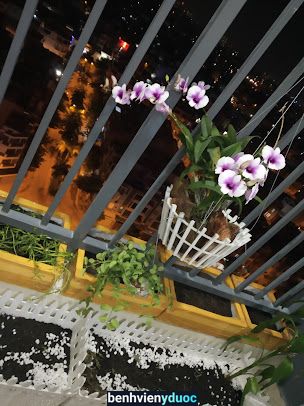 Đông Y Bà Vân Hoàng Mai Hà Nội
