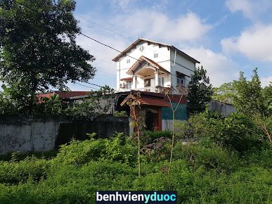 Đông Y Hoạt Yến