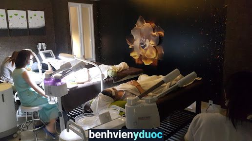 Ellis Spa Relaxation & Beauty Spa Quận 11 11 Hồ Chí Minh