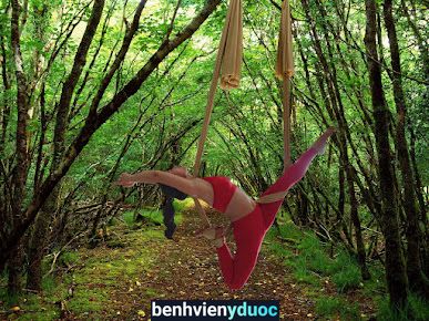 Flying Yoga Viet Nam