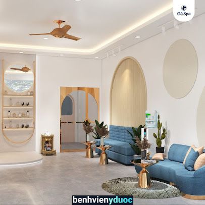 Gà Spa Quy Nhơn Quy Nhơn Bình Định