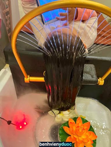 Gội Đầu Dưỡng Sinh Quận 8| HELEN SPA| SPA UY TÍN QUẬN 8 8 Hồ Chí Minh