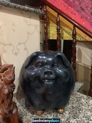 Heo Spa 5 Hồ Chí Minh