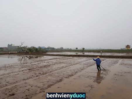 Hiệu thuốc Bắc Đăng Hình Kiến Xương Thái Bình