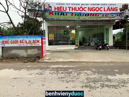 Hiệu Thuốc Kim Chi Sông Lô Vĩnh Phúc