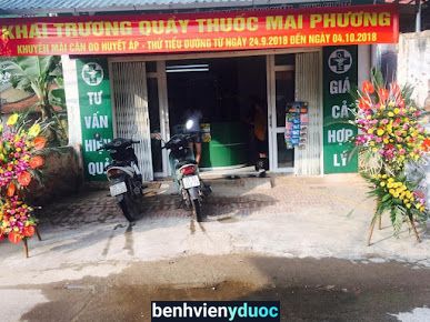 Hiệu thuốc Mai Phương Phúc Thọ Hà Nội
