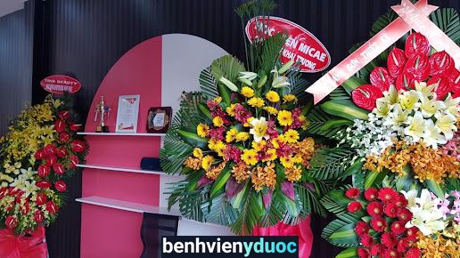 Học viện Micae - Đào tạo chuyên nghiệp nghề thẩm mỹ Gò Vấp Hồ Chí Minh