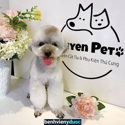 HUYEN PET SPA Hoàng Mai Hà Nội